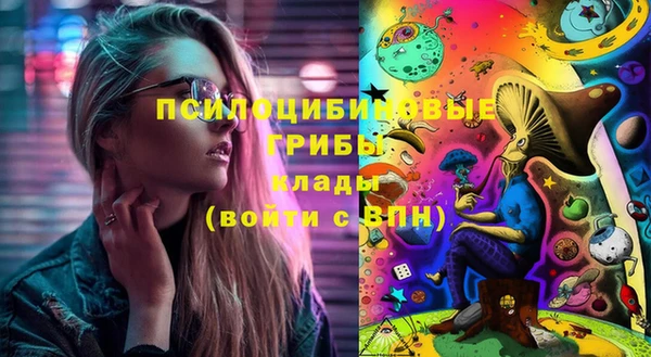 не бодяженный Алексин