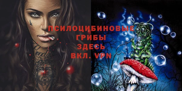 круглые Алзамай